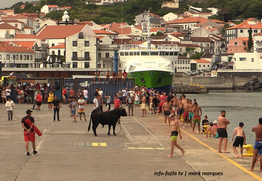 TOURADA À CORDA no Cais de Velas (34ª Semana Cultural das Velas – 2023) – Ilha de São Jorge (c/ vídeo)
