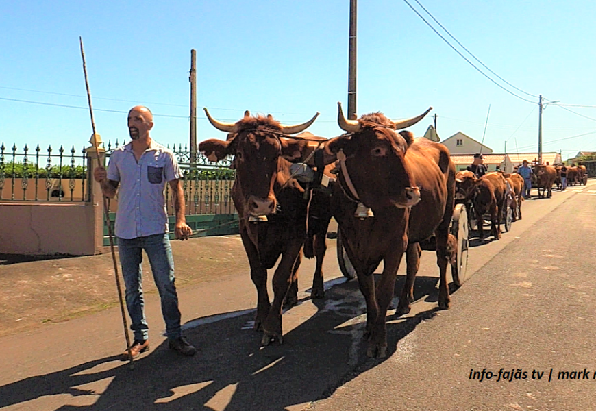 “Bodo de Leite | Cortejo de Carros de Bois” – Norte Pequeno – Ilha de São Jorge (c/ vídeo)