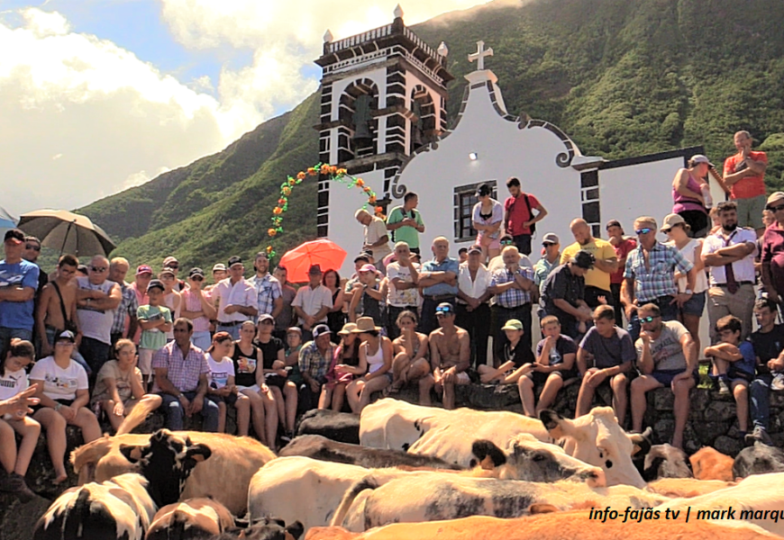 “ARREMATAÇÕES DO GADO” – Festa na Fajã da Caldeira do Senhor Santo Cristo – Ilha de São Jorge (c/ vídeo)