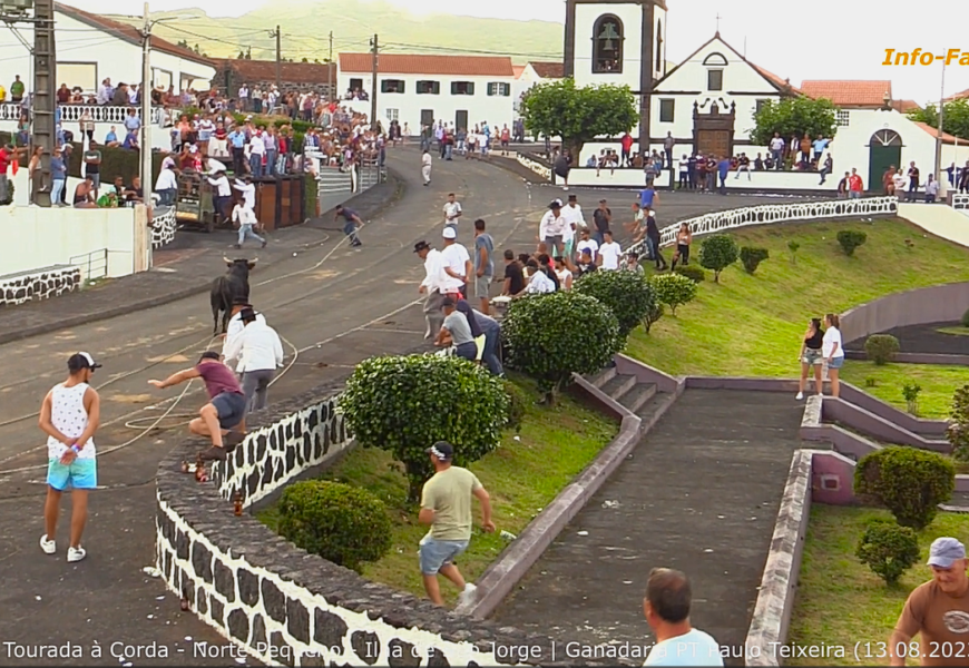 Decorreram 50 Eventos Taurinos neste ano de 2023 na Ilha de São Jorge  (c/ vídeo)