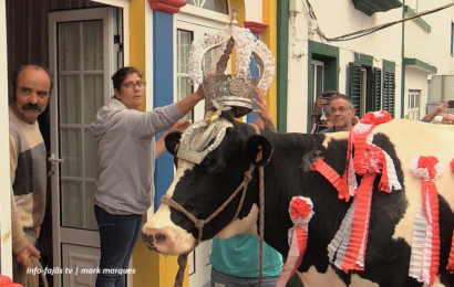 “CORTEJO DA VAQUINHA” – Império do Bairro da Conceição – Festa da Santíssima Trindade – Vila das Velas – Ilha de São Jorge (c/ vídeo)