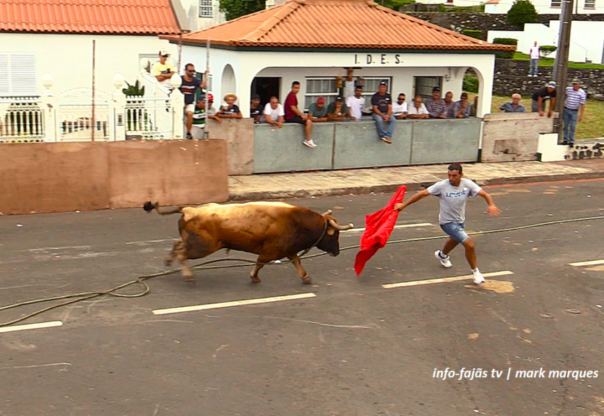 “TOURADA À CORDA” – Norte Pequeno – Ilha de São Jorge (18.08.2024) (c/ vídeo) “TOURADA À CORDA” – Norte Pequeno – Ilha de São Jorge (18.08.2024) (c/ vídeo)