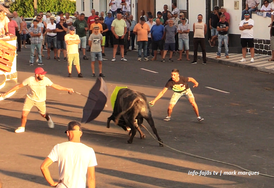 “TOURADA À CORDA” – Rosais – Ilha de São Jorge (17.08.2024) (c/ vídeo)