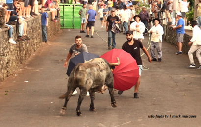 “TOURADA À CORDA” – Festas de Sant`Ana – Beira – Ilha de São Jorge (30.07.2024) (c/ vídeo)