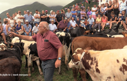 “ARREMATAÇÕES DO GADO” – Festa na Fajã da Caldeira de Santo Cristo – Ilha de São Jorge (01.09.2024) (c/ vídeo)