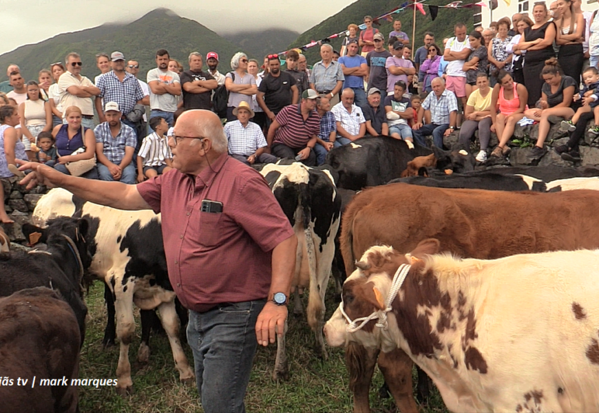 “ARREMATAÇÕES DO GADO” – Festa na Fajã da Caldeira de Santo Cristo – Ilha de São Jorge (01.09.2024) (c/ vídeo)