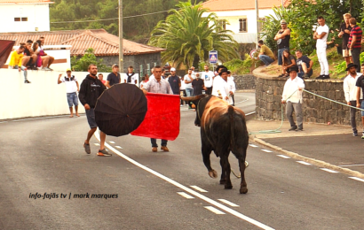 “TOURADA À CORDA” – Boa Hora / Santo Amaro – Ilha de São Jorge (07.09.2024) (c/ vídeo)