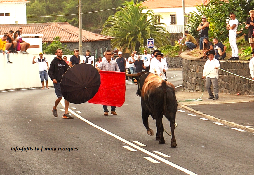 “TOURADA À CORDA” – Boa Hora / Santo Amaro – Ilha de São Jorge (07.09.2024) (c/ vídeo) “TOURADA À CORDA” – Boa Hora / Santo Amaro – Ilha de São Jorge (07.09.2024) (c/ vídeo)