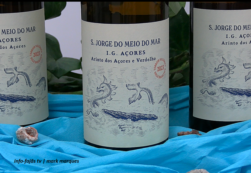 Lançamento do Vinho “SÃO JORGE DO MEIO DO MAR” – Produtor Cássio Amarante – Ilha de São Jorge (19.12.2024) (c/ vídeo) Lançamento do Vinho “SÃO JORGE DO MEIO DO MAR” – Produtor Cássio Amarante – Ilha de São Jorge (19.12.2024) (c/ vídeo)