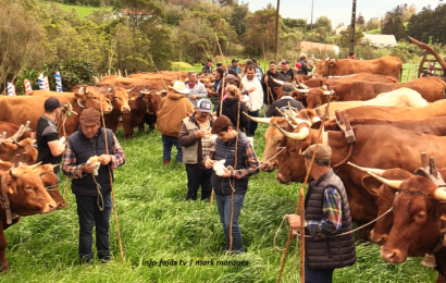 “DESFILE DE JUNTAS DE BOIS” – Barreiro / Topo – Ilha de São Jorge (01.05.2025) (c/ vídeo)