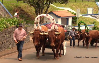 “CORTEJO CARROS BOIS / ESMOLAS”- 6º Jantar Divino Espírito Santo – Ribeira Seca – Ilha S. Jorge (31.05.2025) (c/ vídeo)
