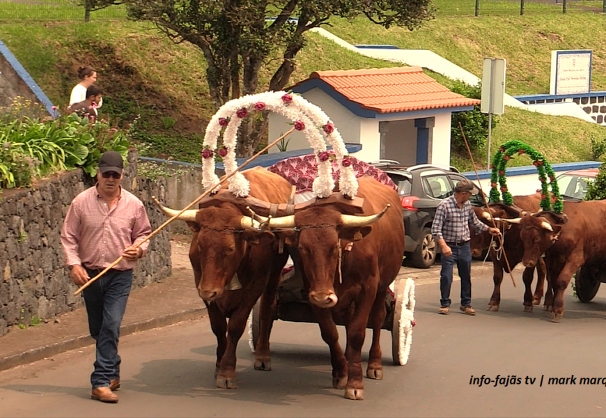 “CORTEJO CARROS BOIS / ESMOLAS”- 6º Jantar Divino Espírito Santo – Ribeira Seca – Ilha S. Jorge (31.05.2025) (c/ vídeo)