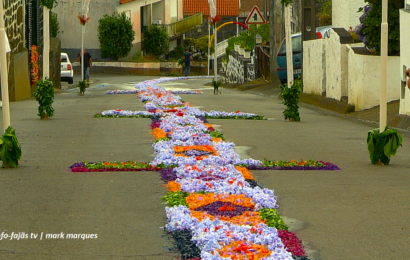 “TAPETES PARA RECEBER SANT`ANA” – Festa de Sant`Ana – Beira – Ilha de São Jorge (27.07.2025) (c/ vídeo)