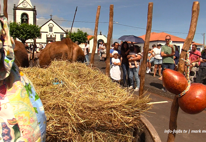 “BODO DE LEITE | CORTEJO DE CARROS DE BOIS” – Norte Pequeno – Ilha de São Jorge (17.08.2025) (c/ vídeo) “BODO DE LEITE | CORTEJO DE CARROS DE BOIS” – Norte Pequeno – Ilha de São Jorge (17.08.2025) (c/ vídeo)