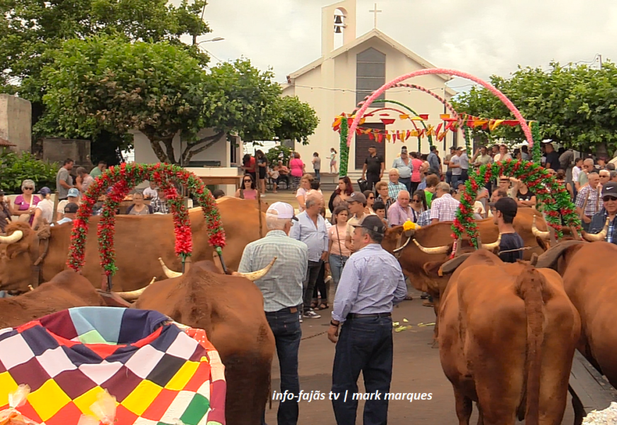 “CORTEJO DE CARROS DE BOIS ” no lugar do Cruzal – Santo Antão – Ilha de São Jorge (02.08.2025) (c/ vídeo) “CORTEJO DE CARROS DE BOIS ” no lugar do Cruzal – Santo Antão – Ilha de São Jorge (02.08.2025) (c/ vídeo)
