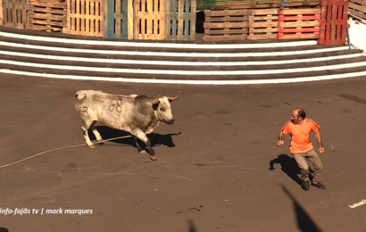 “2ª TOURADA À CORDA” – Festa de Nª Srª do Rosário – Rosais – Ilha de São Jorge (18.08.2025) (c/ vídeo)