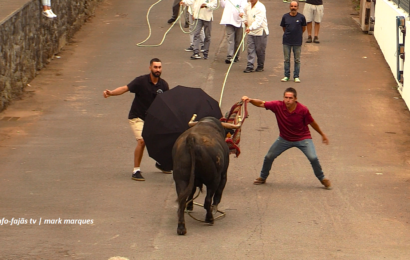 “TOURADA À CORDA” – Festas de Sant`Ana – Beira – Ilha de São Jorge (29.07.2025) (c/ vídeo)