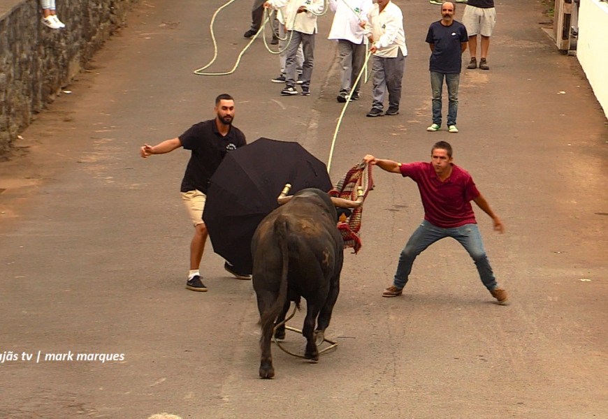 “TOURADA À CORDA” – Festas de Sant`Ana – Beira – Ilha de São Jorge (29.07.2025) (c/ vídeo)