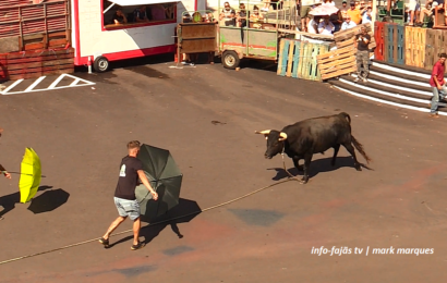 “TOURADA À CORDA” – Festa de Nª Srª do Rosário – Rosais – Ilha de São Jorge (16.08.2025) (c/ vídeo)