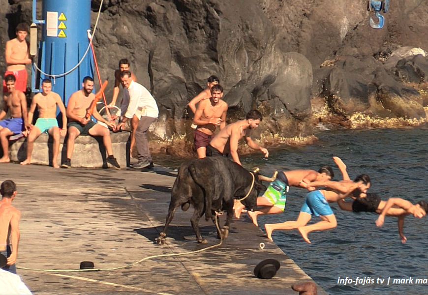“TOURADA À CORDA” – Urzelina – Ilha de São Jorge (09.08.2025) (c/ vídeo)