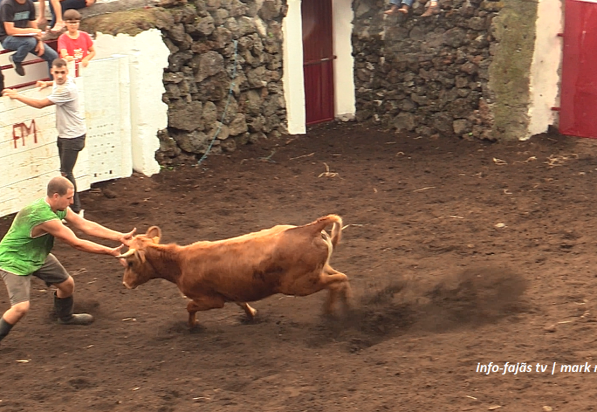 JOVENS AFICIONADOS PARTICIPAM NA FERRA – Ganadaria FM – Ilha de São Jorge (18.10.2025) (c/ vídeo)