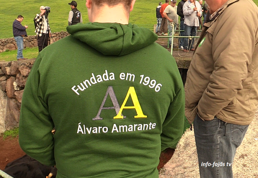 “MARCAÇÃO DOS ANIMAIS” – Ferra na Ganadaria AA – Álvaro Amarante – Ilha de São Jorge (22.11.2025) (c/ vídeo) “MARCAÇÃO DOS ANIMAIS” – Ferra na Ganadaria AA – Álvaro Amarante – Ilha de São Jorge (22.11.2025) (c/ vídeo)