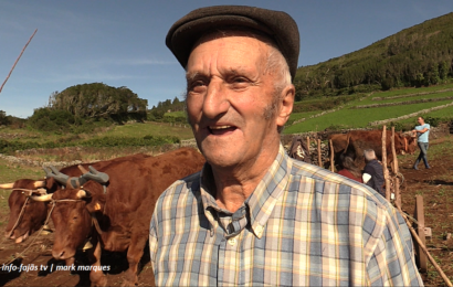 “ENTREVISTAS A PARTICIPANTES” – Escrepagem com Juntas de Bois – Rosais – Ilha S. Jorge (08.11.2025) (c/ vídeo)