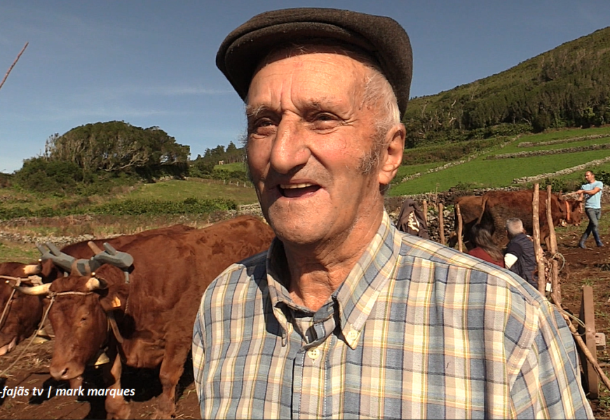 “ENTREVISTAS A PARTICIPANTES” – Escrepagem com Juntas de Bois – Rosais – Ilha S. Jorge (08.11.2025) (c/ vídeo) “ENTREVISTAS A PARTICIPANTES” – Escrepagem com Juntas de Bois – Rosais – Ilha S. Jorge (08.11.2025) (c/ vídeo)