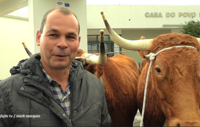 “FESTA DO GADO – ROSAIS” – Entrevistas – Festa de Santo Antão – Ilha S. Jorge (25.01.2026) (c/ vídeo) “FESTA DO GADO – ROSAIS” – Entrevistas – Festa de Santo Antão – Ilha S. Jorge (25.01.2026) (c/ vídeo)