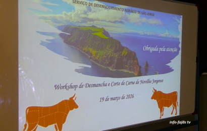 “WORKSHOP DESMANCHA / CORTE DE CARNE NOVILHO JORGENSE” – Santo Amaro – Ilha S. Jorge (19.03.2026) (c/ vídeo)