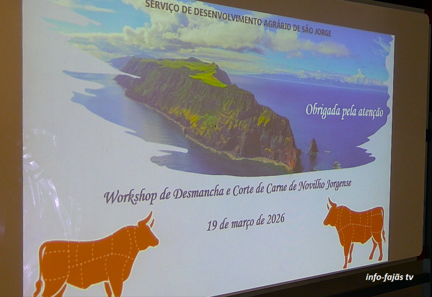 “WORKSHOP DESMANCHA / CORTE DE CARNE NOVILHO JORGENSE” – Santo Amaro – Ilha S. Jorge (19.03.2026) (c/ vídeo) “WORKSHOP DESMANCHA / CORTE DE CARNE NOVILHO JORGENSE” – Santo Amaro – Ilha S. Jorge (19.03.2026) (c/ vídeo)