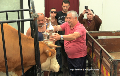 CORTEJO / COROAÇÃO DO GADO PARA O ESPÍRITO SANTO – Vila das Velas – Ilha de São Jorge (20.05.2026) (c/ vídeo)