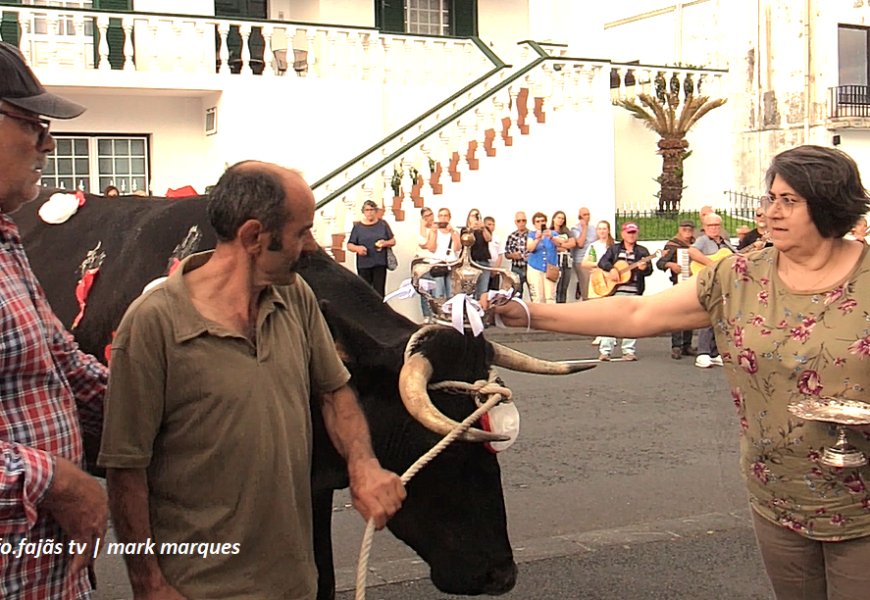 CORTEJO E COROAÇÃO DO GADO – IMPÉRIO DO LIVRAMENTO – Vila das Velas – Ilha de São Jorge (12.06.2026) (c/ vídeo)