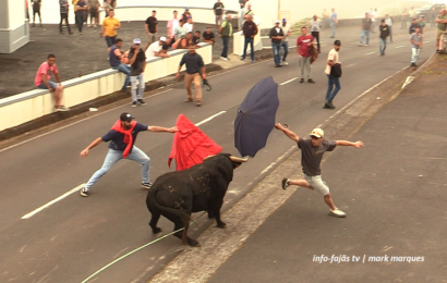 “1ª TOURADA À CORDA” – Festas de Santo António – Lugar de Santo António – Ilha S. Jorge (10.06.2026) (c/ vídeo)