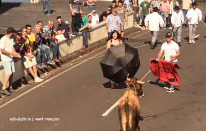 “2ª TOURADA À CORDA” – Festas de Santo António – Lugar de Santo António – Ilha S. Jorge (13.06.2026) (c/ vídeo) “2ª TOURADA À CORDA” – Festas de Santo António – Lugar de Santo António – Ilha S. Jorge (13.06.2026) (c/ vídeo)