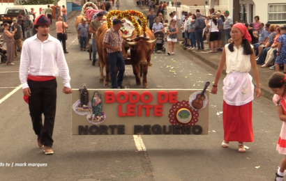 “CORTEJO DE CARROS DE BOIS” – Norte Pequeno – Ilha de São Jorge (16.08.2026)  (c/ vídeo)