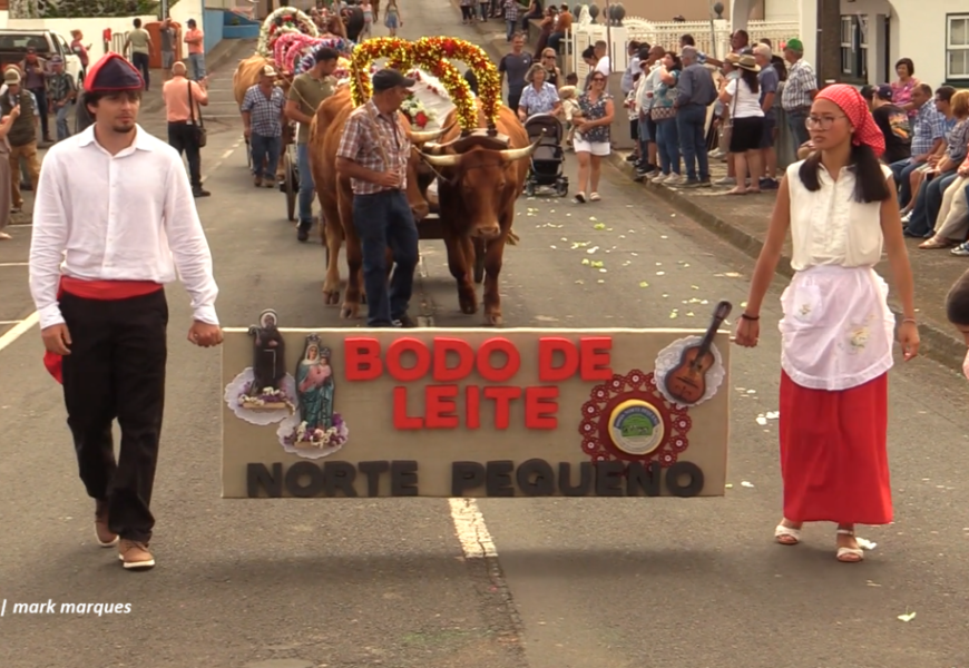 “CORTEJO DE CARROS DE BOIS” – Norte Pequeno – Ilha de São Jorge (16.08.2026)  (c/ vídeo)