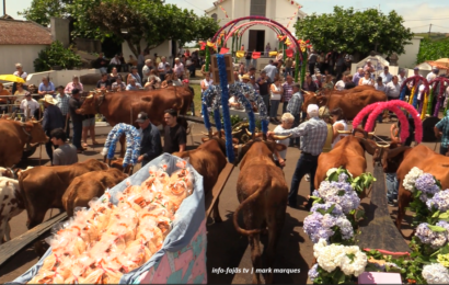 “CORTEJO DE CARROS DE BOIS” – Cruzal / Santo Antão – Ilha de São Jorge (01.08.2026) (c/ vídeo) “CORTEJO DE CARROS DE BOIS” – Cruzal / Santo Antão – Ilha de São Jorge (01.08.2026) (c/ vídeo)