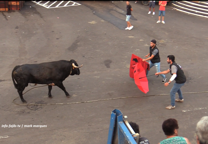 “TOURADA À CORDA” – Festas de Nª Srª do Rosário – Rosais -Ilha de São Jorge (17.08.2026) (c/ vídeo)