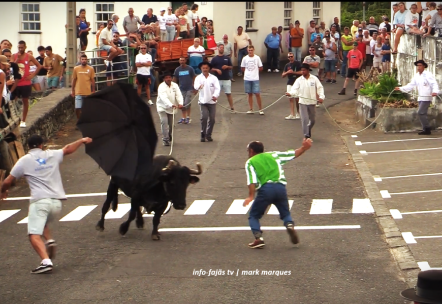 “TOURADA À CORDA” – Nª Srª da Encarnação – Ribeira do Nabo – Ilha de São Jorge (29.08.2026) (c/ vídeo)