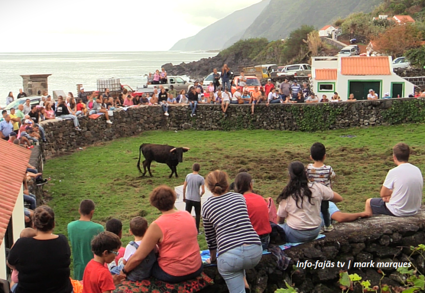 “VACADA” – Fajã das Pontas / Norte Pequeno – Ilha de São Jorge (c/ vídeo) “VACADA” – Fajã das Pontas / Norte Pequeno – Ilha de São Jorge (c/ vídeo)