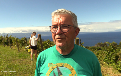 Entrevista a Gil Berquó da “Adega Ilhéu” – Fajã do Ouvidor – Ilha de São Jorge (19.09.2026) (c/ vídeo) Entrevista a Gil Berquó da “Adega Ilhéu” – Fajã do Ouvidor – Ilha de São Jorge (19.09.2026) (c/ vídeo)