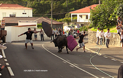 “TOURADA À CORDA” – Festa de Nª Srª da Boa Hora – Ilha de São Jorge (12.09.2026) (c/ vídeo) “TOURADA À CORDA” – Festa de Nª Srª da Boa Hora – Ilha de São Jorge (12.09.2026) (c/ vídeo)