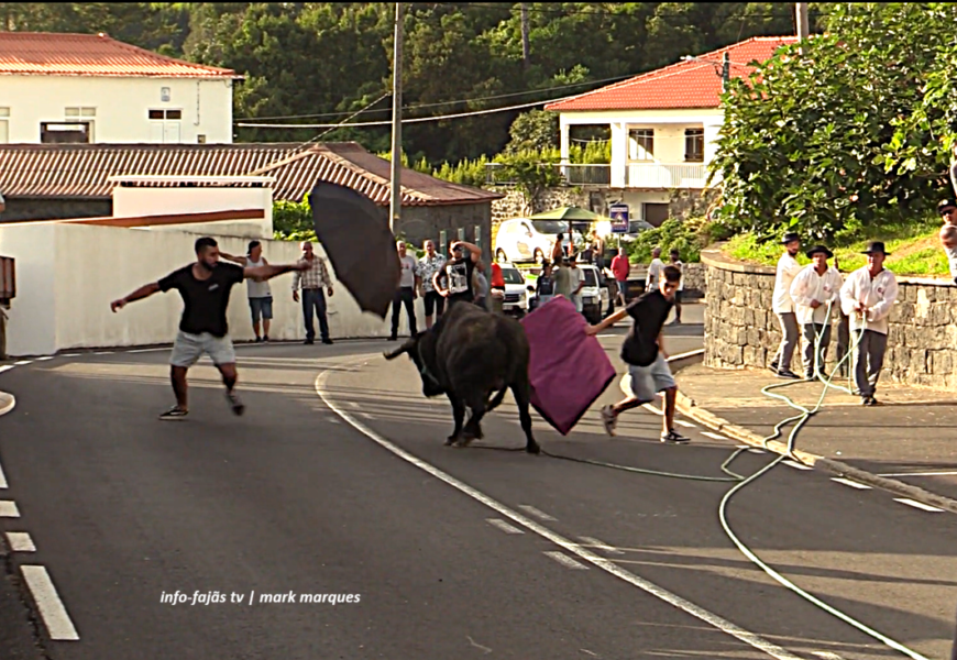 “TOURADA À CORDA” – Festa de Nª Srª da Boa Hora – Ilha de São Jorge (12.09.2026) (c/ vídeo) “TOURADA À CORDA” – Festa de Nª Srª da Boa Hora – Ilha de São Jorge (12.09.2026) (c/ vídeo)