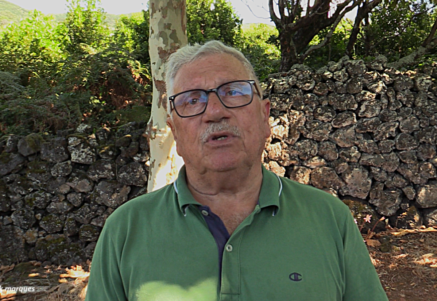 “VINHAJOR” – Cooperativa Vitivinícola da Ilha de São Jorge – Entrevista a António Silveira (26.09.2026) (c/ vídeo) “VINHAJOR” – Cooperativa Vitivinícola da Ilha de São Jorge – Entrevista a António Silveira (26.09.2026) (c/ vídeo)