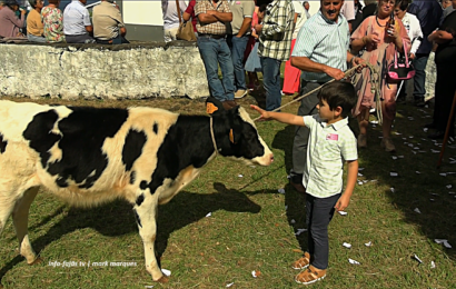 “Arrematações e Brinde” – Fajã da Ribeira D`Areia – Festa de Nª Senhora de Fátima – Ilha S. Jorge (13.10.2026) (c/ vídeo) “Arrematações e Brinde” – Fajã da Ribeira D`Areia – Festa de Nª Senhora de Fátima – Ilha S. Jorge (13.10.2026) (c/ vídeo)
