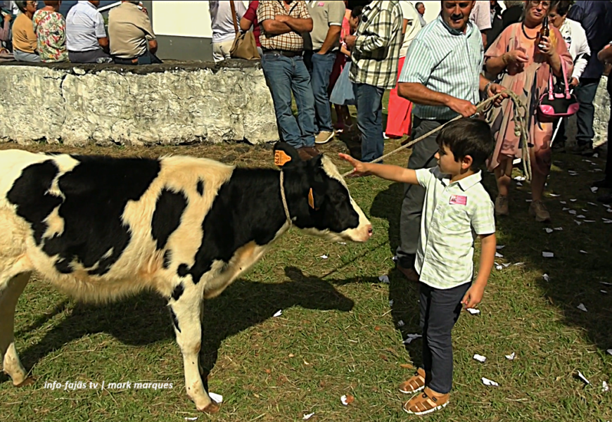 “Arrematações e Brinde” – Fajã da Ribeira D`Areia – Festa de Nª Senhora de Fátima – Ilha S. Jorge (13.10.2026) (c/ vídeo)